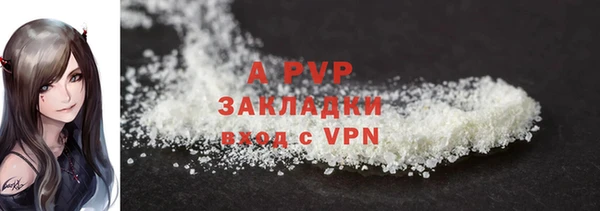 apvp Верея